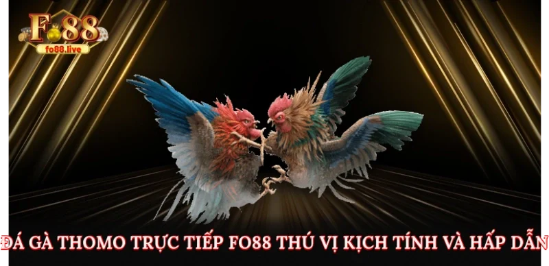 Đá Gà Thomo Trực Tiếp Fo88 Để Bạn Có Trải Nghiệm Như Tại Đấu Trường